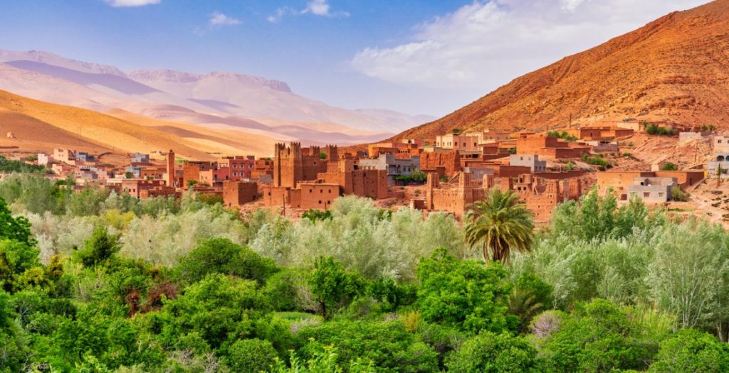 واحات زاكورة في مرمى النيران ودعوات إلى وضع إستراتيجية شاملة لحمايتها من الزوال